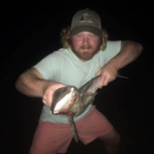 Meet your Posher, Calvin